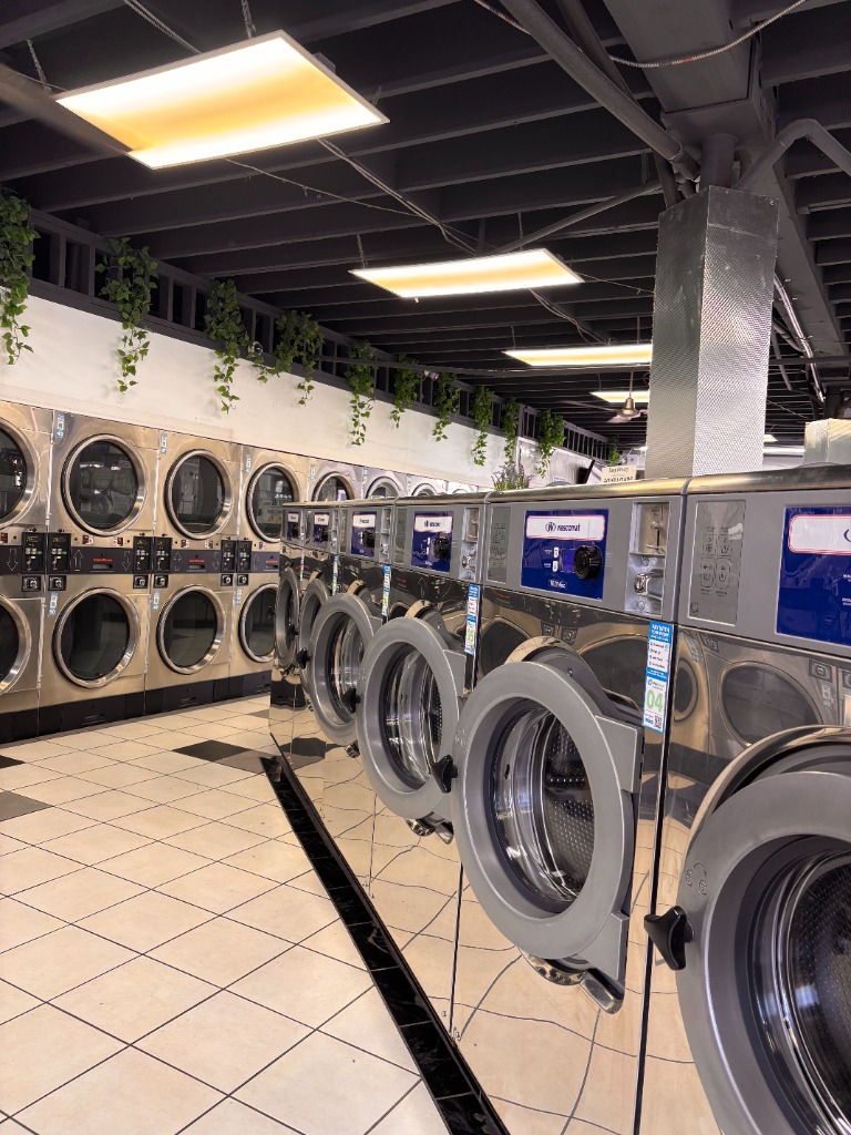 Laundry Service San Diego - Professional front-load dryers
